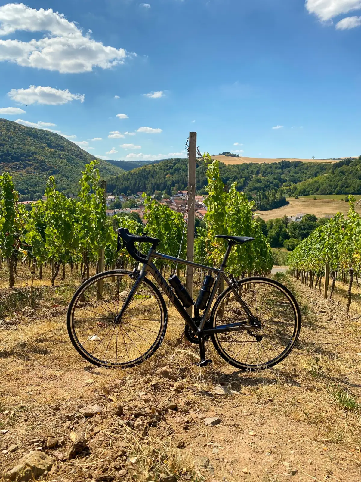 Black road bicycle standing upright in a sunlit vineyard, with rows of grapevines stretching into the distance, a quaint village nestled in a valley, and a backdrop of rolling hills under a blue sky with scattered clouds.